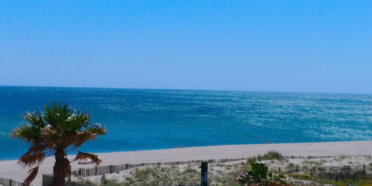 Vue Mer Panoramique Wifi Gratuit Le Barcarès Dış mekan fotoğraf