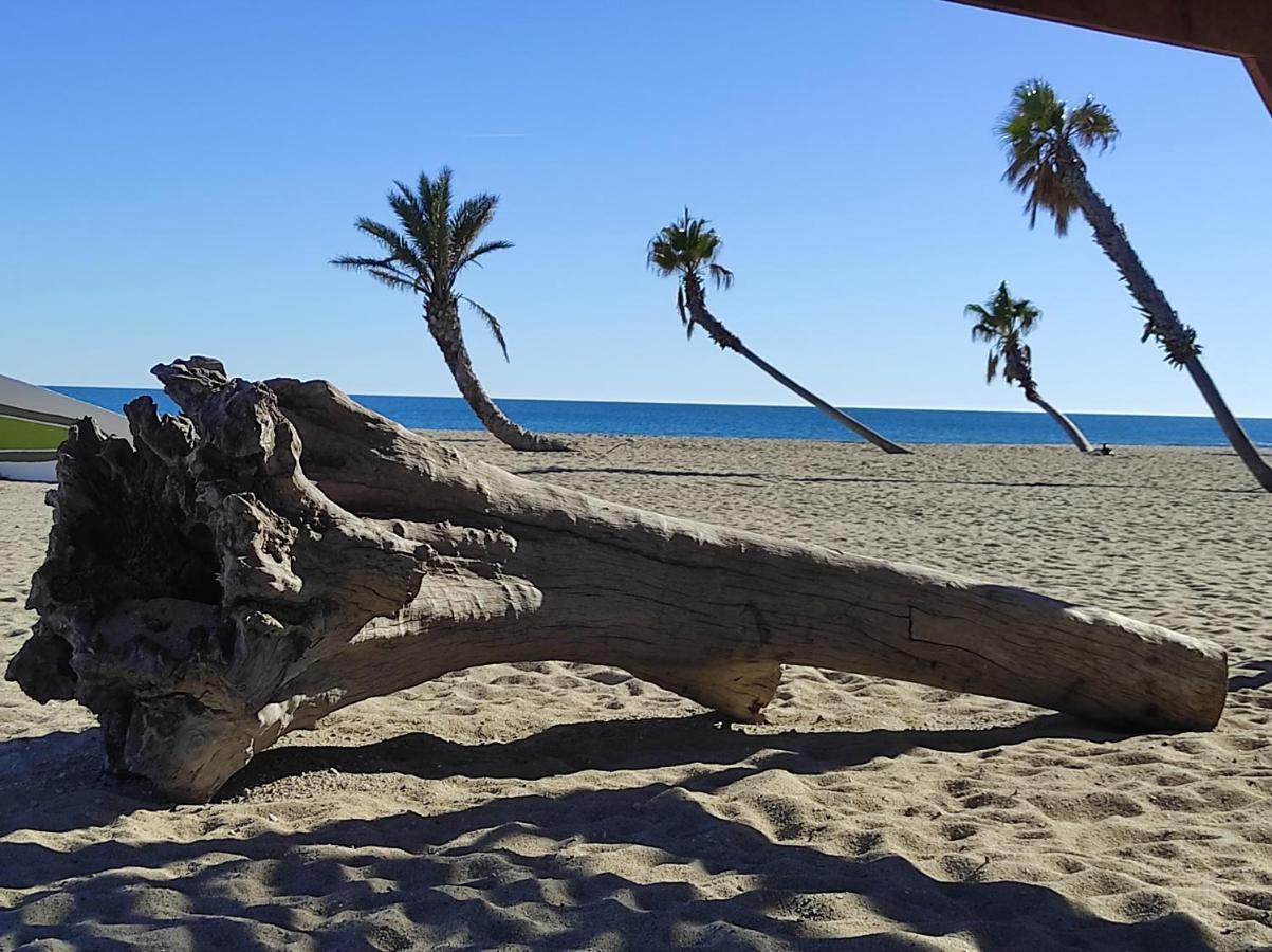 Vue Mer Panoramique Wifi Gratuit Le Barcarès Dış mekan fotoğraf